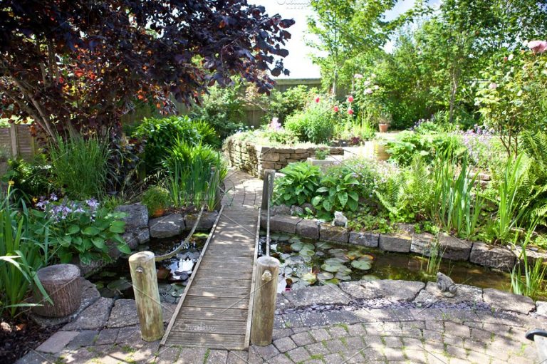 Surrey Landscaping | Landscape Gardeners